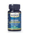 MAXIMUM REISHI 40cap.