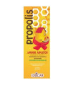 PROPOLIS+ECNINACEA JARABE adultos 200ml. GRICAR