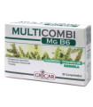 MULTICOMBI magnesio B6 30comp.