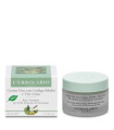 CREMA FACIAL ginkgo biloba 50ml.