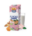 BEBIDA VEGETAL DE ALMENDRAS 1lt 6uds. S/A