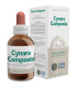 CYNARA COMPOSTA extracto 50ml.