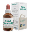FAGUS COMPOSTO extracto 50ml.