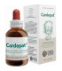 CARDEPAT extracto 50ml.