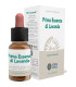 PRIMERA ESENCIA LAVANDA COMPLEX 10ml.