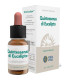 QUINTA ESENCIA EUCALIPTO 10ml.
