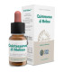 QUINTA ESENCIA MELISA 10ml.