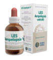 LES AMPELOPSIS W. Vid canadiense 50ml.