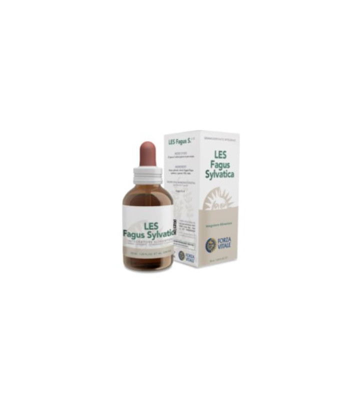 LES FAGUS SYLVATICA haya 50ml.