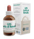 LES LINFA DI BETULLA linfa de abedul 50ml.