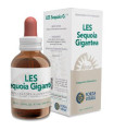 LES SEQUOIA GIGANTEA secoya 50ml.