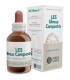 LES ULMUS CAMPESTRIS olmo 50ml.