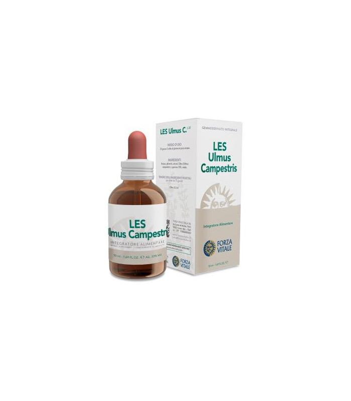 LES ULMUS CAMPESTRIS olmo 50ml.