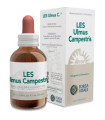 LES ULMUS CAMPESTRIS olmo 50ml.