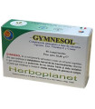 GYMNESOL 48comp.