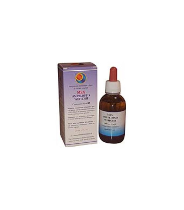 MSA AMPELOPSIS WEITCHII jovenes brotes 50ml.