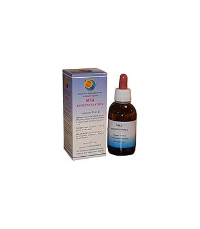 MSA FAGUS SYLVATICA yemas 50ml.