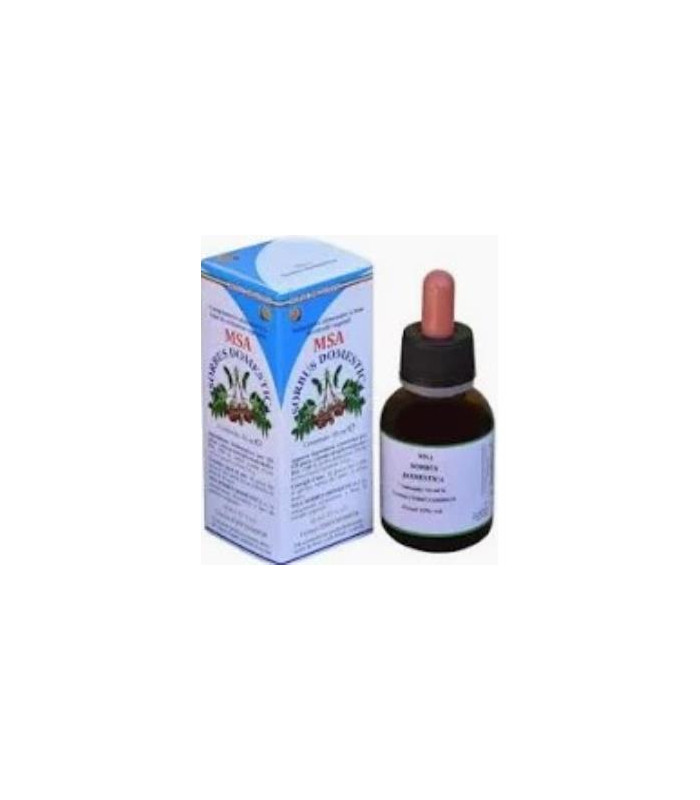 MSA SORBUS DOMESTICA yemas serbal comun 50ml.