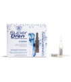 SUPER DREN ampollas concentradas de noche 14amp.