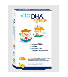 VITADHA BRAIN fresa-limon 30comp. mast.