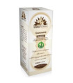 CÚRCUMA CURCUMA extracto Fitomater 50ml