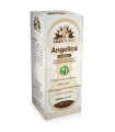 ANGELICA extracto Fitomater 50ml