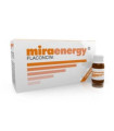 MIRAENERGY 10amp.