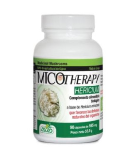 MICOTHERAPY HERICIUM 90cap.