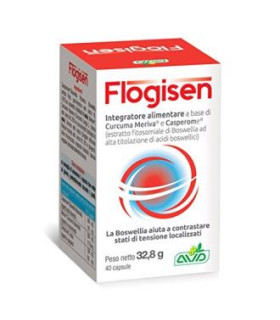 FLOGISEN 40cap.