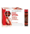 MAGVITAL 20viales
