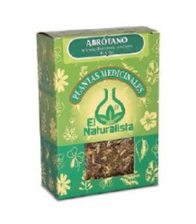 ABROTANO planta 65gr.
