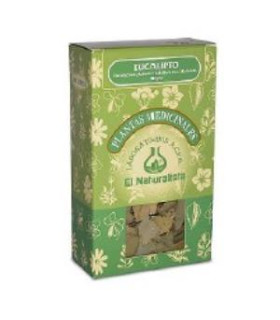 EUCALIPTO planta 80gr.