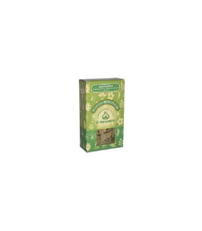 EUCALIPTO planta 80gr.