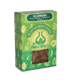 VERBENA planta 50gr.