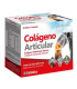 ZENTRUM COLAGENO ARTICULAR 20sbrs