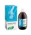 DYNAMICART COLAGENO 240ml.