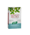 GINKGO BILOBA 40cap.