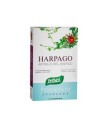 HARPAGOFITO 40cap.