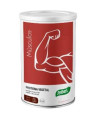 DYNAMIC proteina vegetal cacao 455gr.