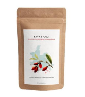 BAYAS DE GOJI deshidratadas 100 gr ECO