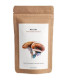 REISHI polvo 250 gr ECO