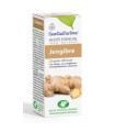 JENGIBRE aceite esencial 10ml.