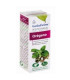 OREGANO aceite esencial BIO 10ml.
