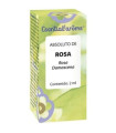 ABSOLUTO DE ROSA DE BULGARIA 2ml.