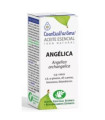RAIZ DE ANGELICA aceite esencial 5ml.