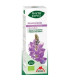 PHYTO-BIPOLE BIO DESMODIUM 50ml.