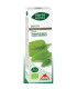 PHYTO-BIPOLE BIO BOLDO 50ml.