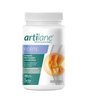 ARTILANE FORTE 220gr.