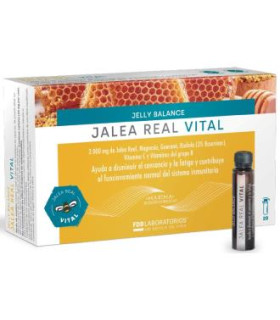 JELLY BALANCE VITAL jalea real 20viales