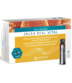 JELLY BALANCE VITAL jalea real 20viales
